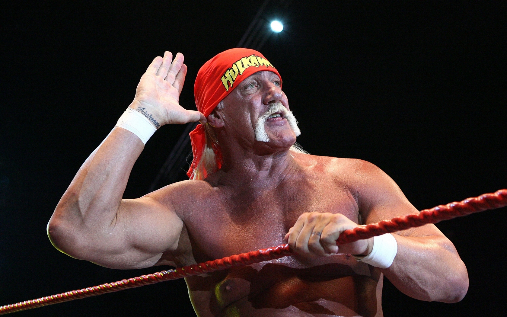 Hulk Hogan Salute for 1680 x 1050 widescreen resolution