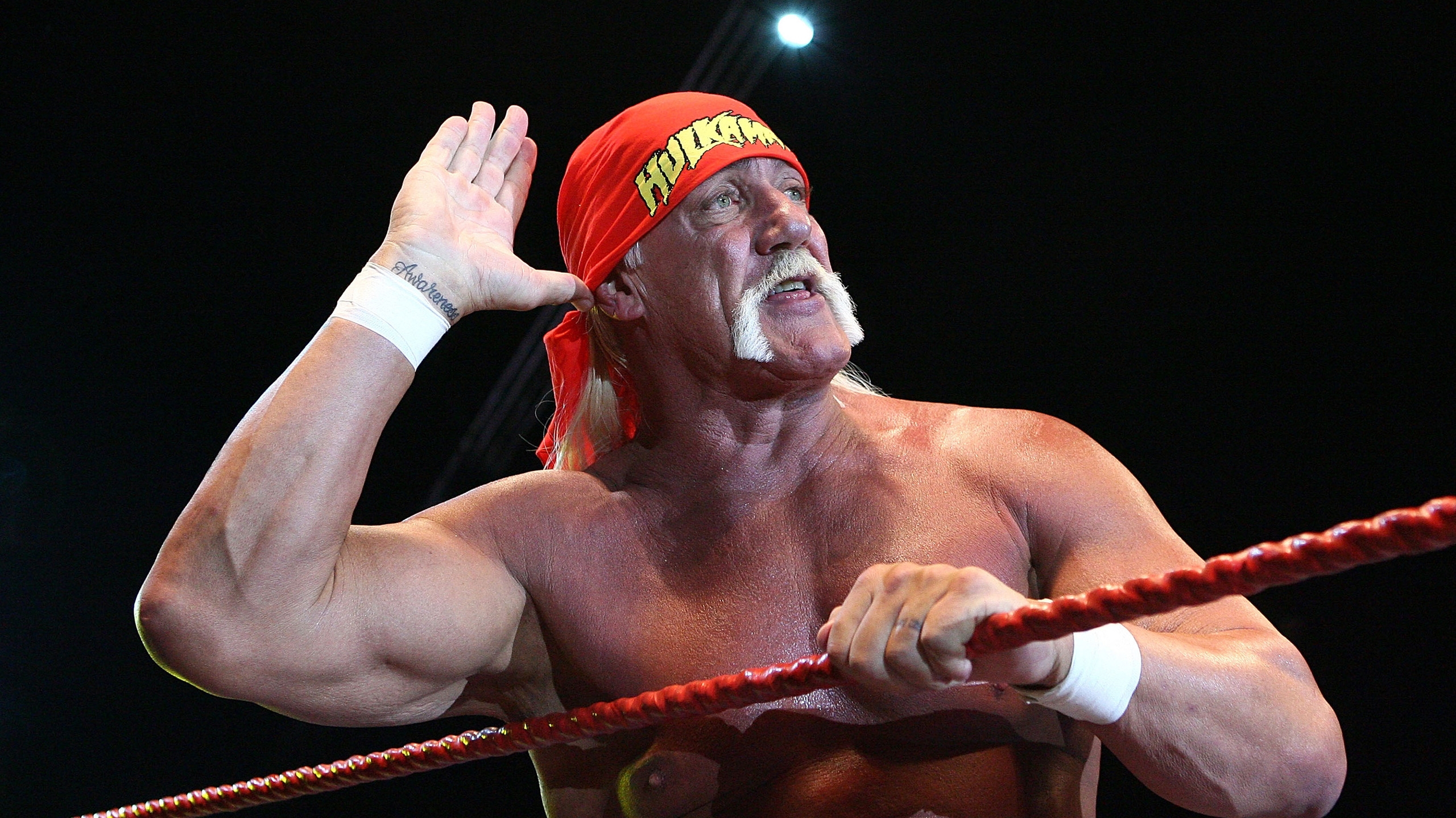 Hulk Hogan Salute for 2560x1440 HDTV resolution