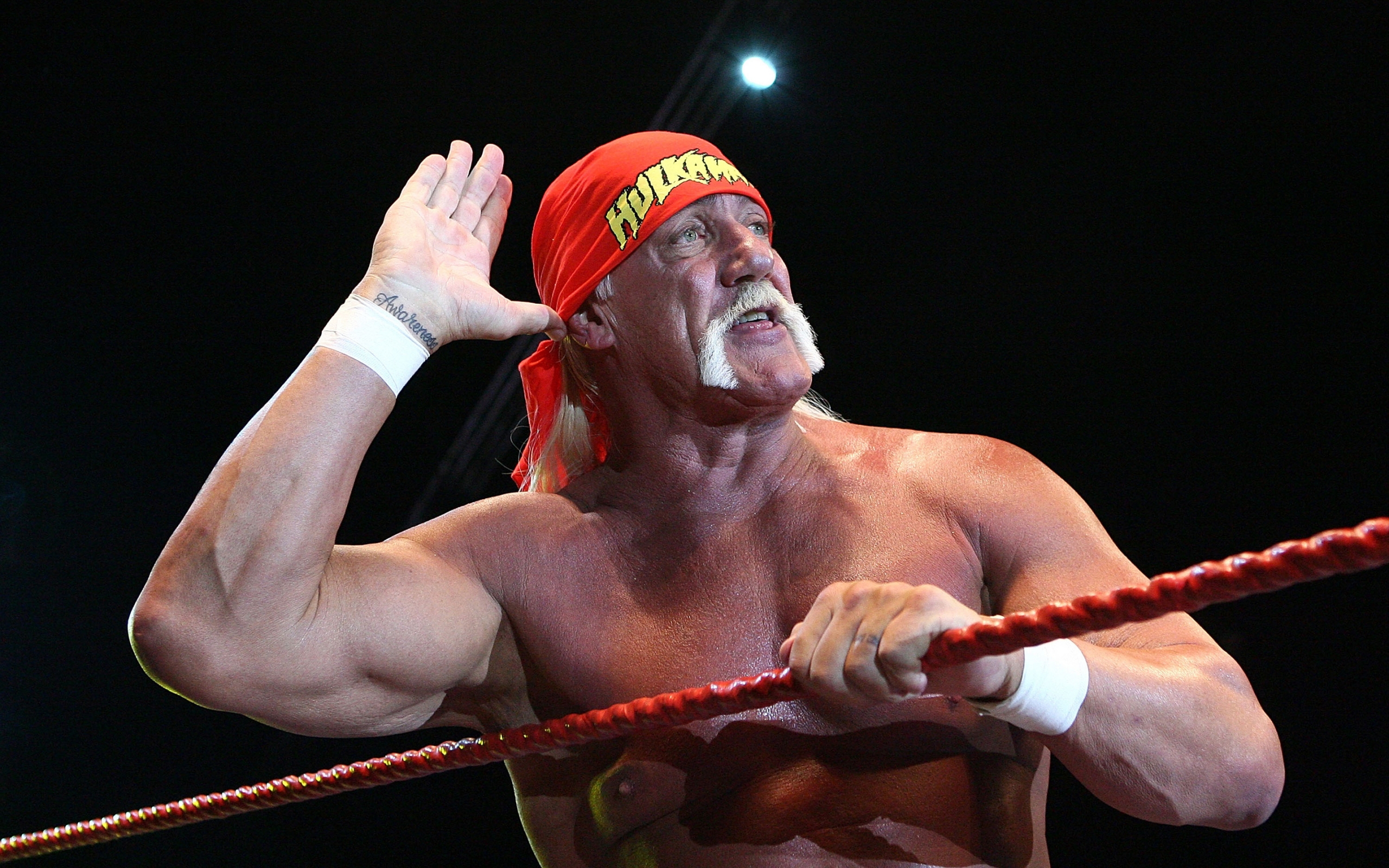 Hulk Hogan Salute for 2560 x 1600 widescreen resolution