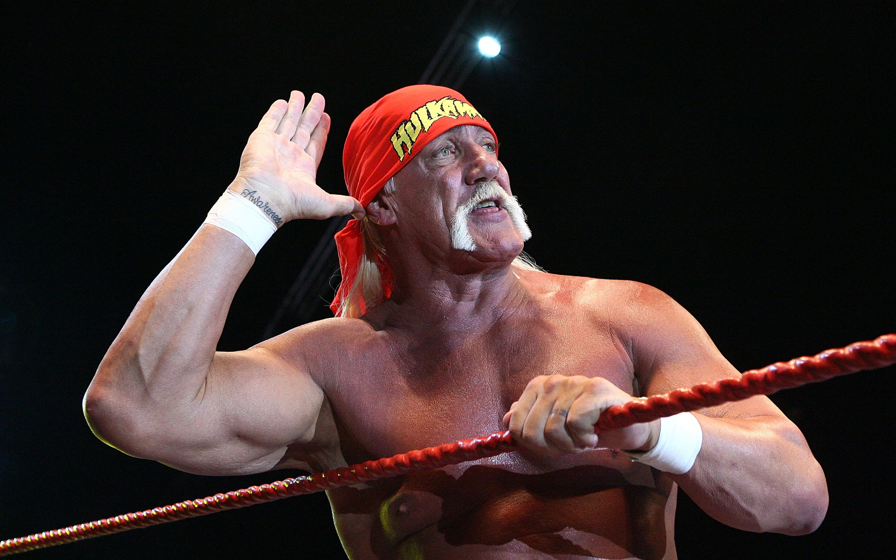 Hulk Hogan Salute for 2880 x 1800 Retina Display resolution