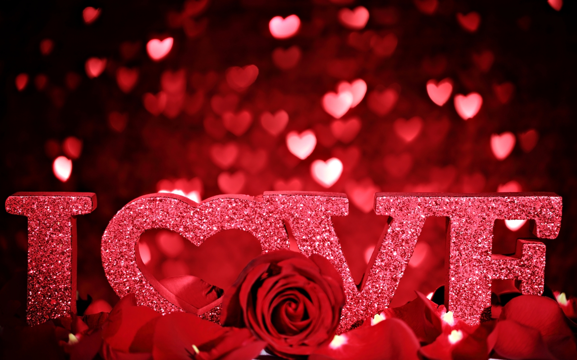 I love Roses I love You for 1920 x 1200 widescreen resolution