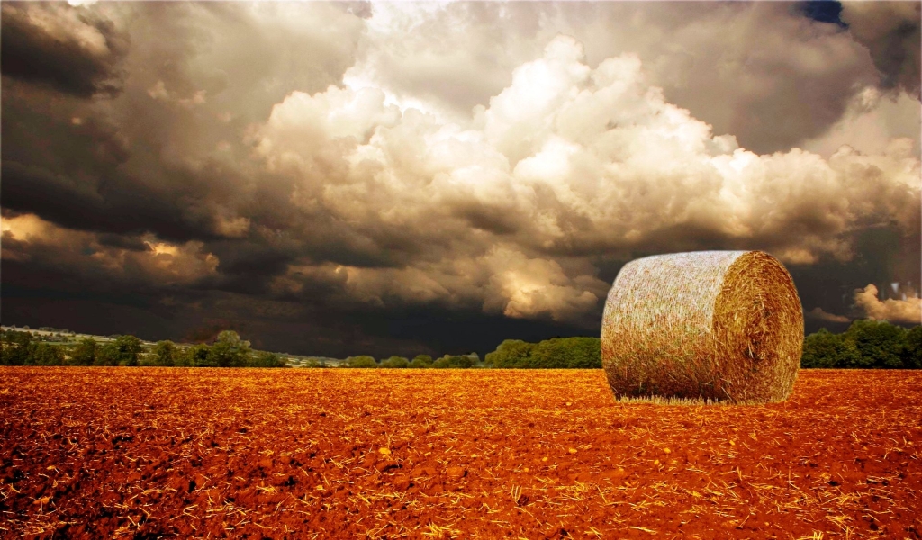 Interesting Autumn Scenary for 1024 x 600 widescreen resolution