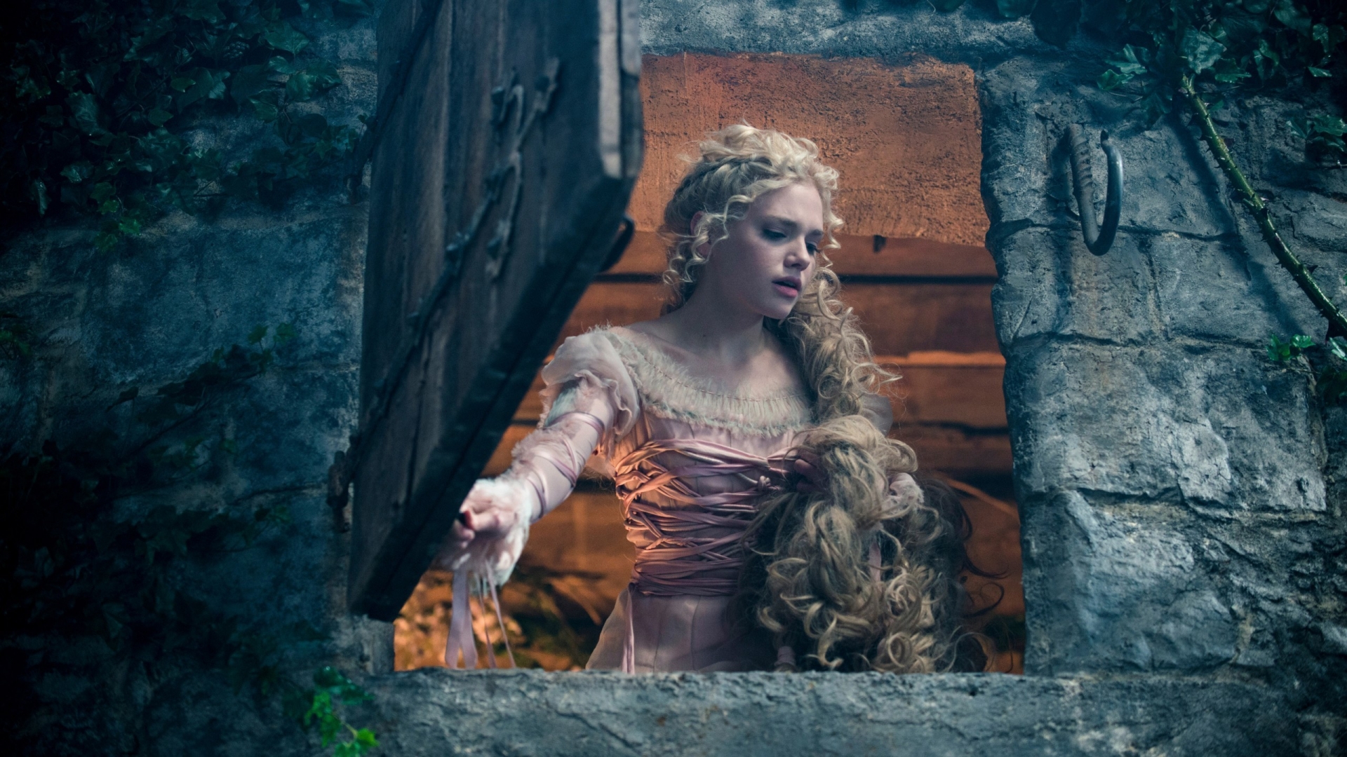 Into the Woods Rapunzel for 1920 x 1080 HDTV 1080p resolution