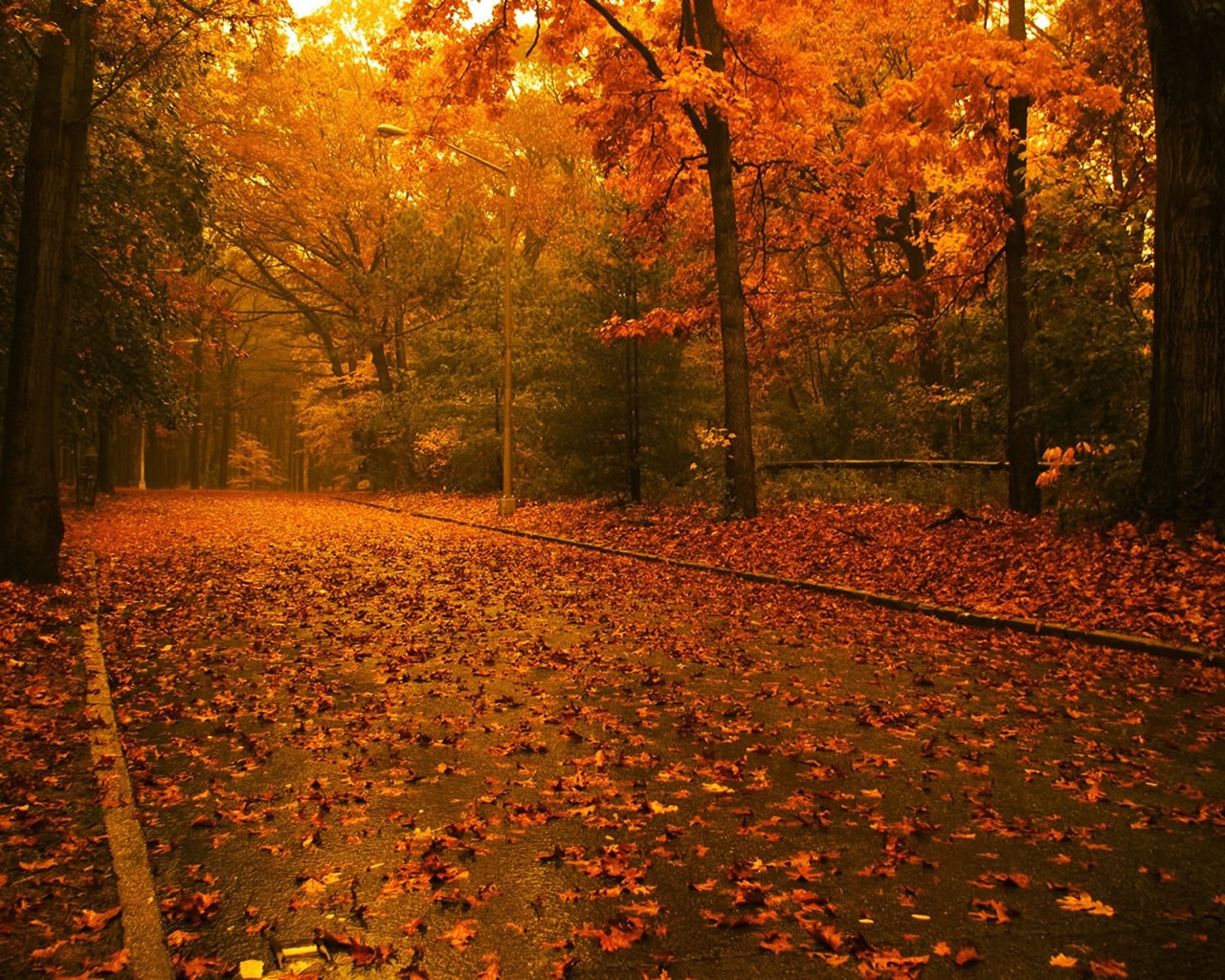Its time for Autumn for 1280 x 1024 resolution
