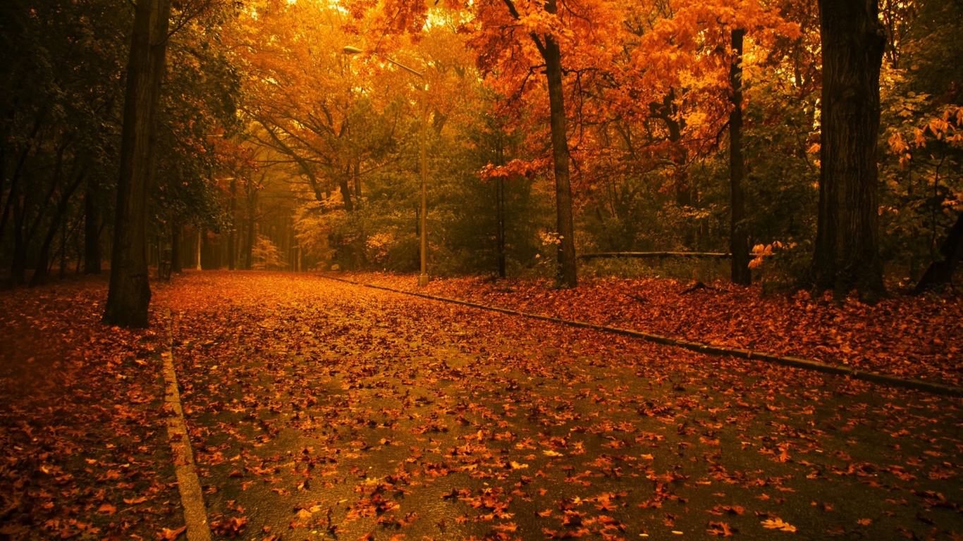 Its time for Autumn for 1366 x 768 HDTV resolution