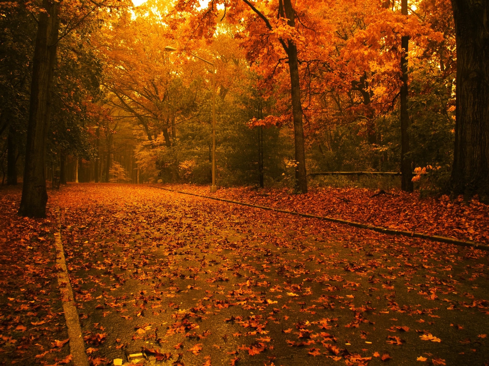 Its time for Autumn for 1600 x 1200 resolution