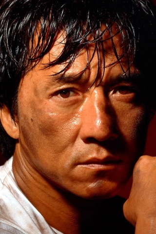 Jackie Chan Fight for 320 x 480 iPhone resolution