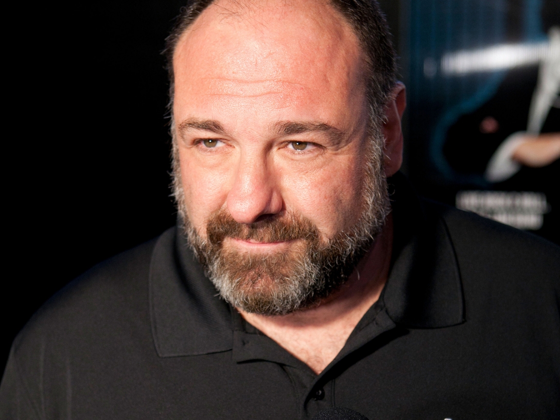 James Gandolfini for 1152 x 864 resolution