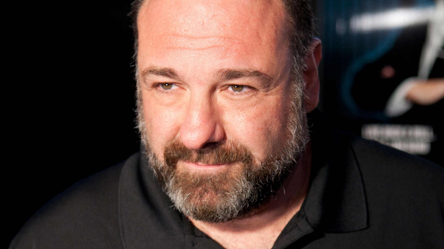 James Gandolfini for 1536 x 864 HDTV resolution