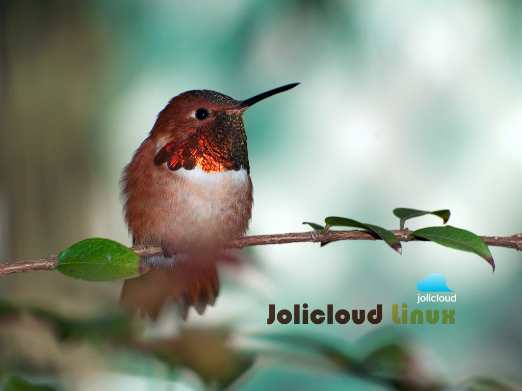 Jolicloud Linux Hummingbird for 1024 x 768 resolution