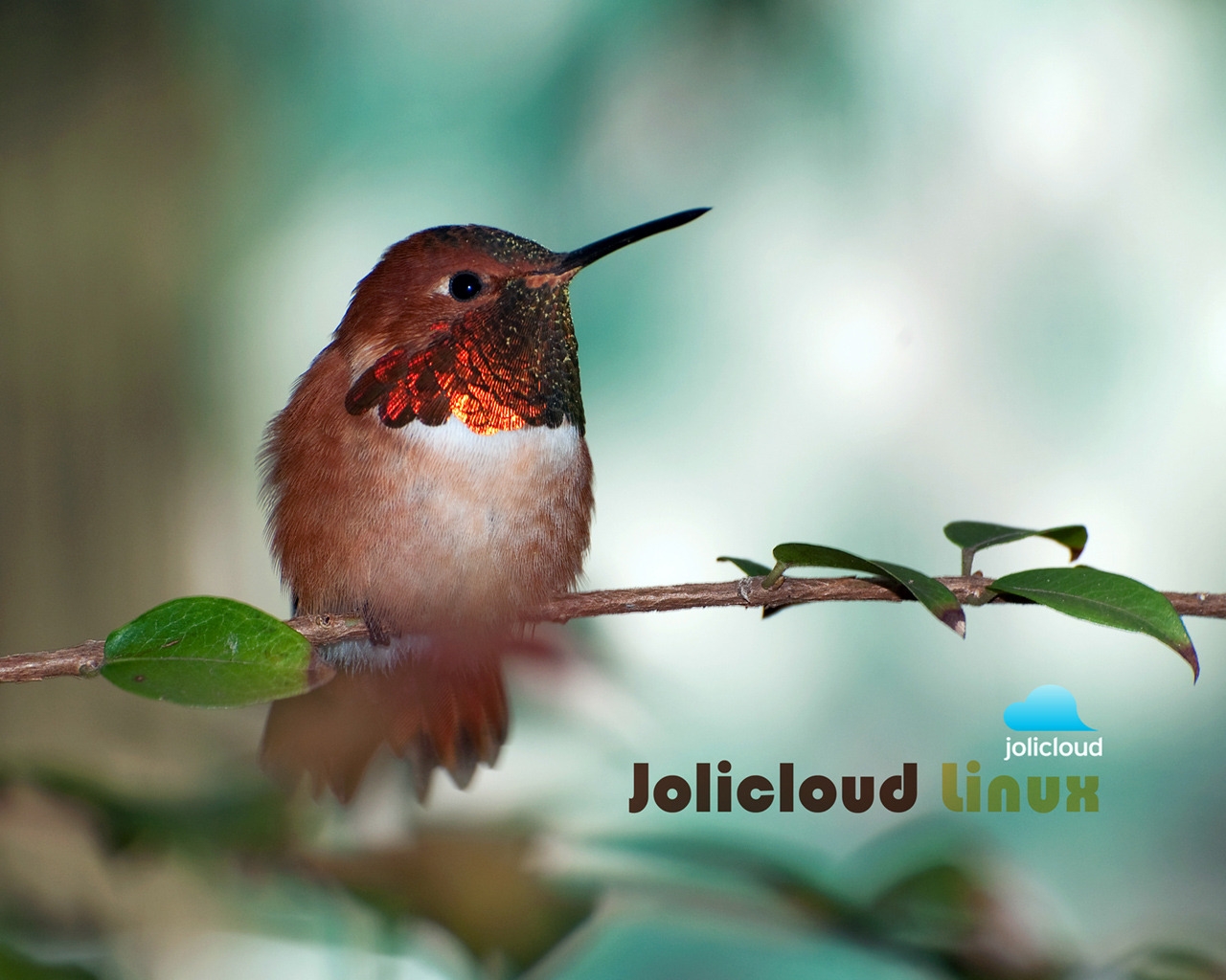 Jolicloud Linux Hummingbird for 1280 x 1024 resolution