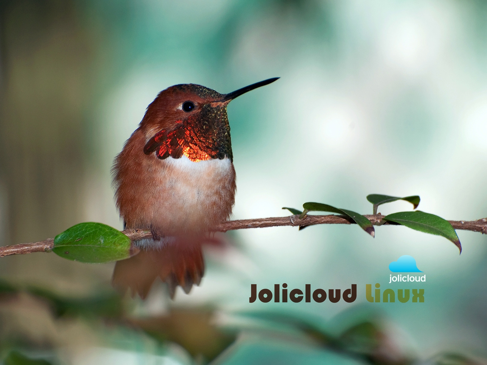 Jolicloud Linux Hummingbird for 1600 x 1200 resolution