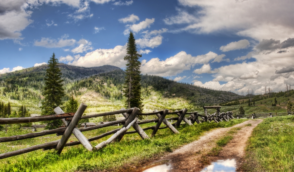 Just a Nature Corner for 1024 x 600 widescreen resolution