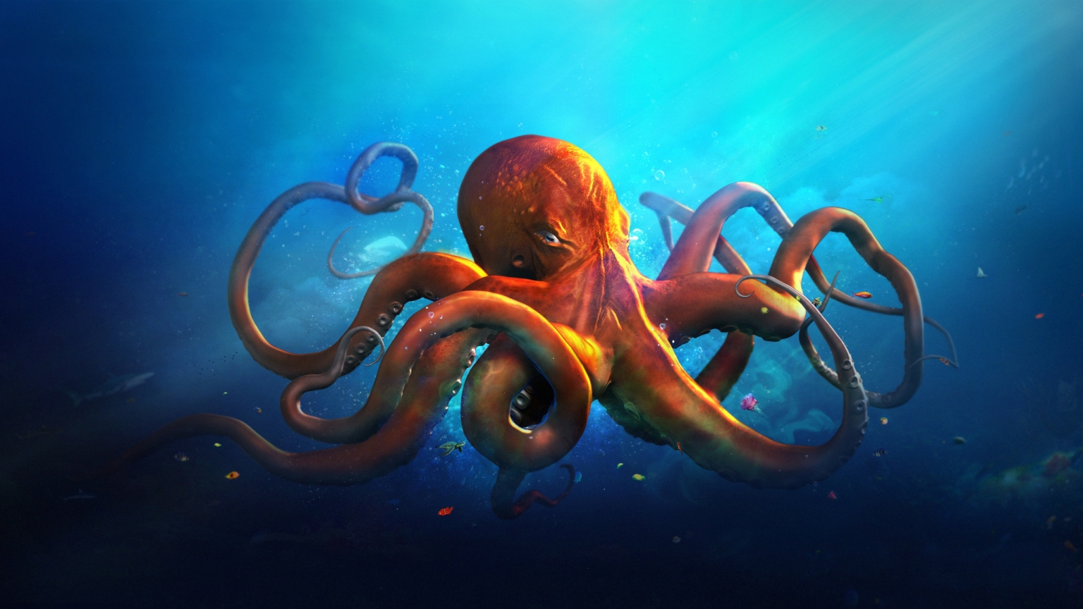 Just an Octopus for 1536 x 864 HDTV resolution