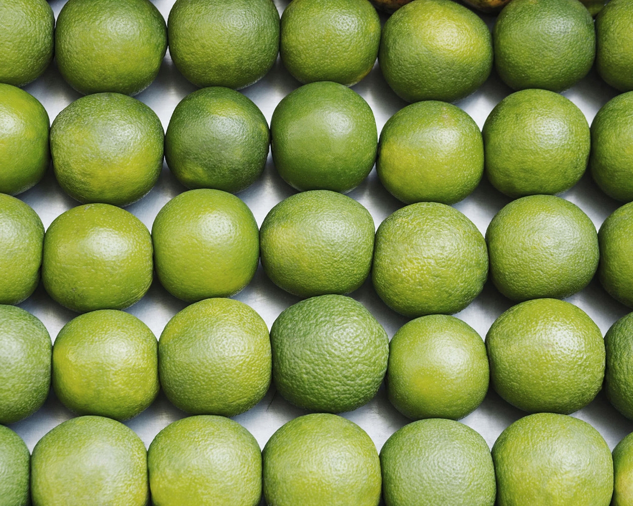 Just Lime for 1280 x 1024 resolution