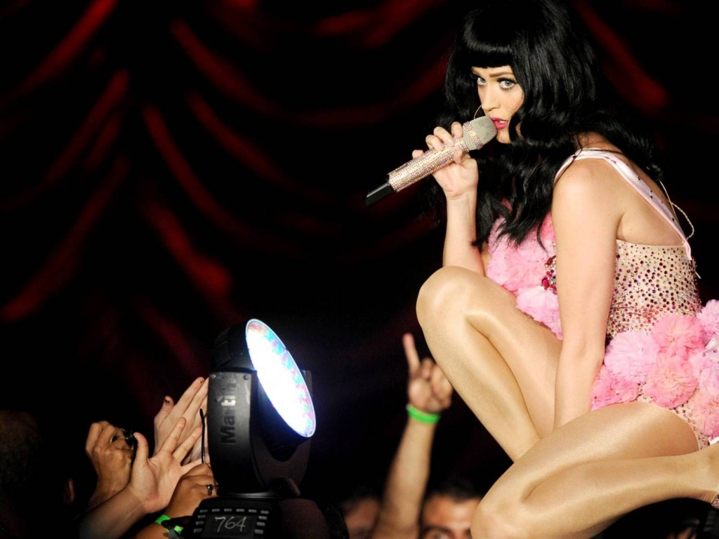 Katy Perry in Concert for 1024 x 768 resolution