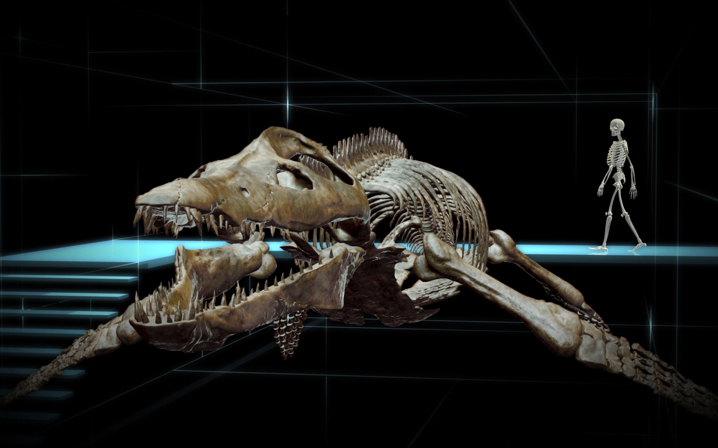 Kear Kronosaurus for 1440 x 900 widescreen resolution