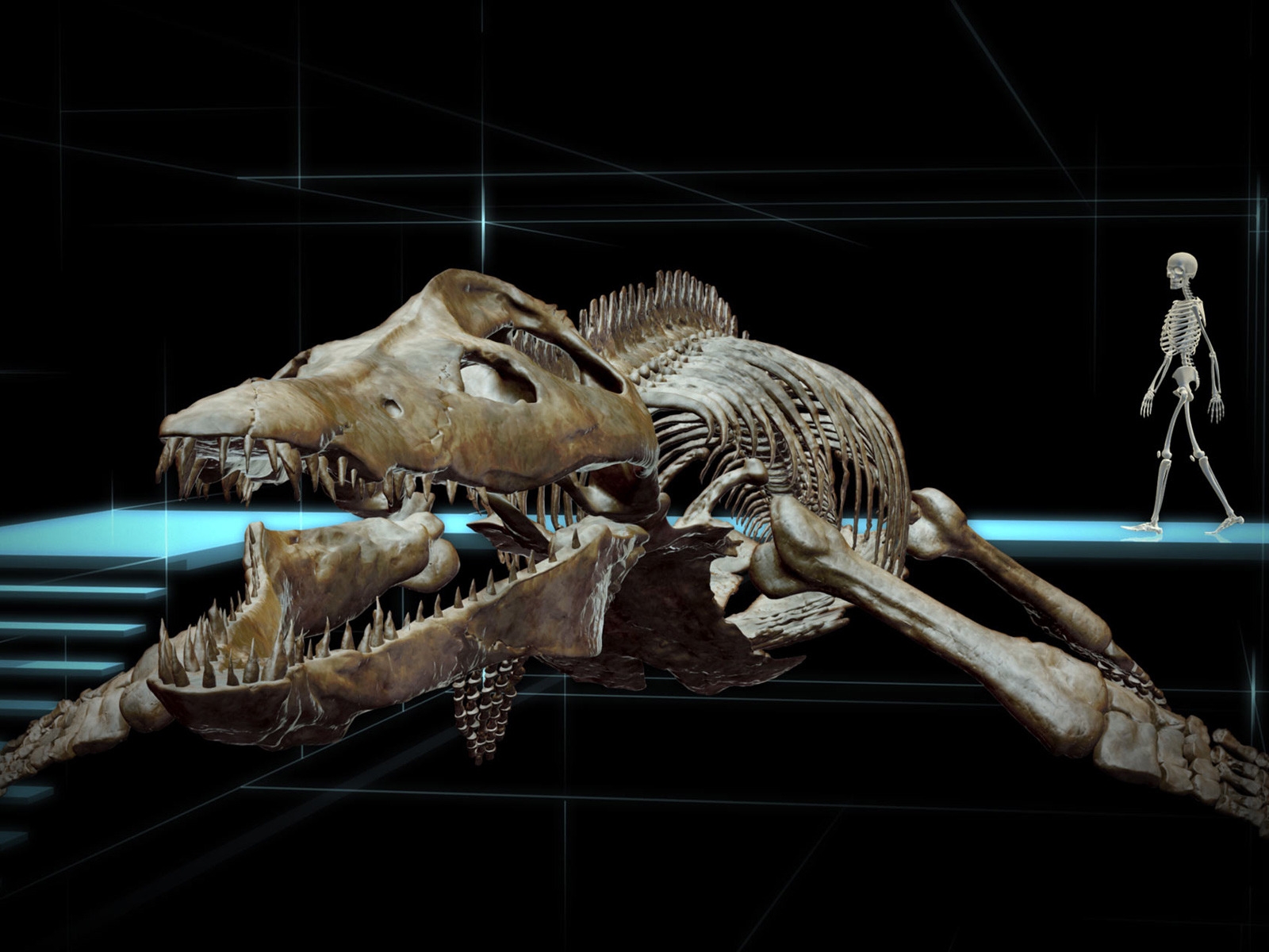 Kear Kronosaurus for 1600 x 1200 resolution