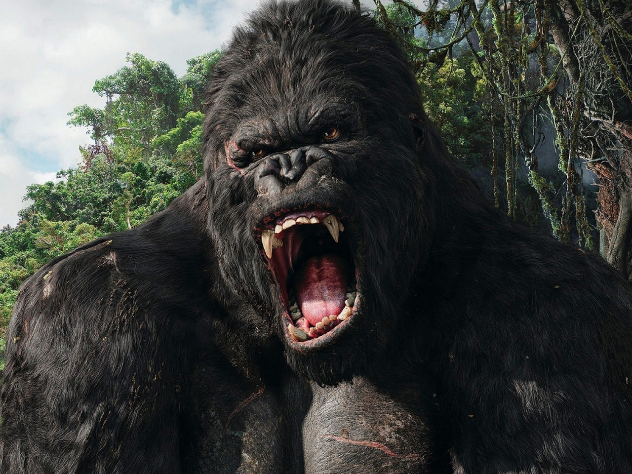 King Kong for 1280 x 960 resolution