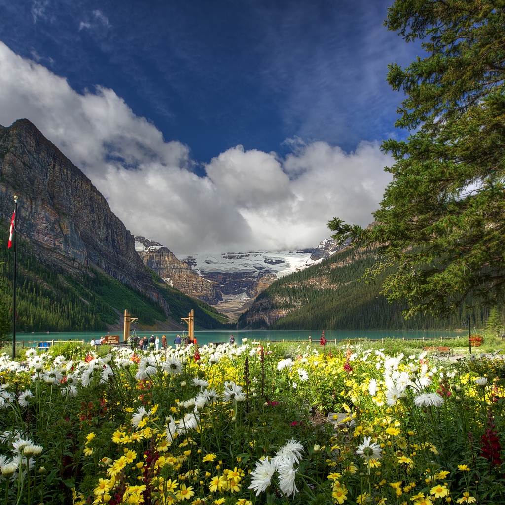 Lake Louise Banff National Park for 1024 x 1024 iPad resolution