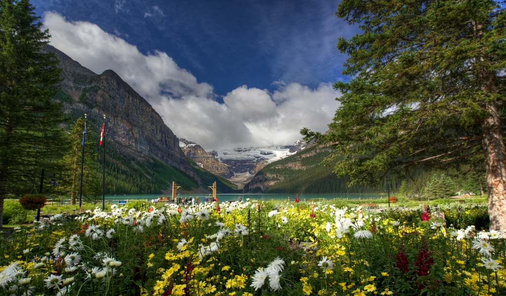 Lake Louise Banff National Park for 1024 x 600 widescreen resolution
