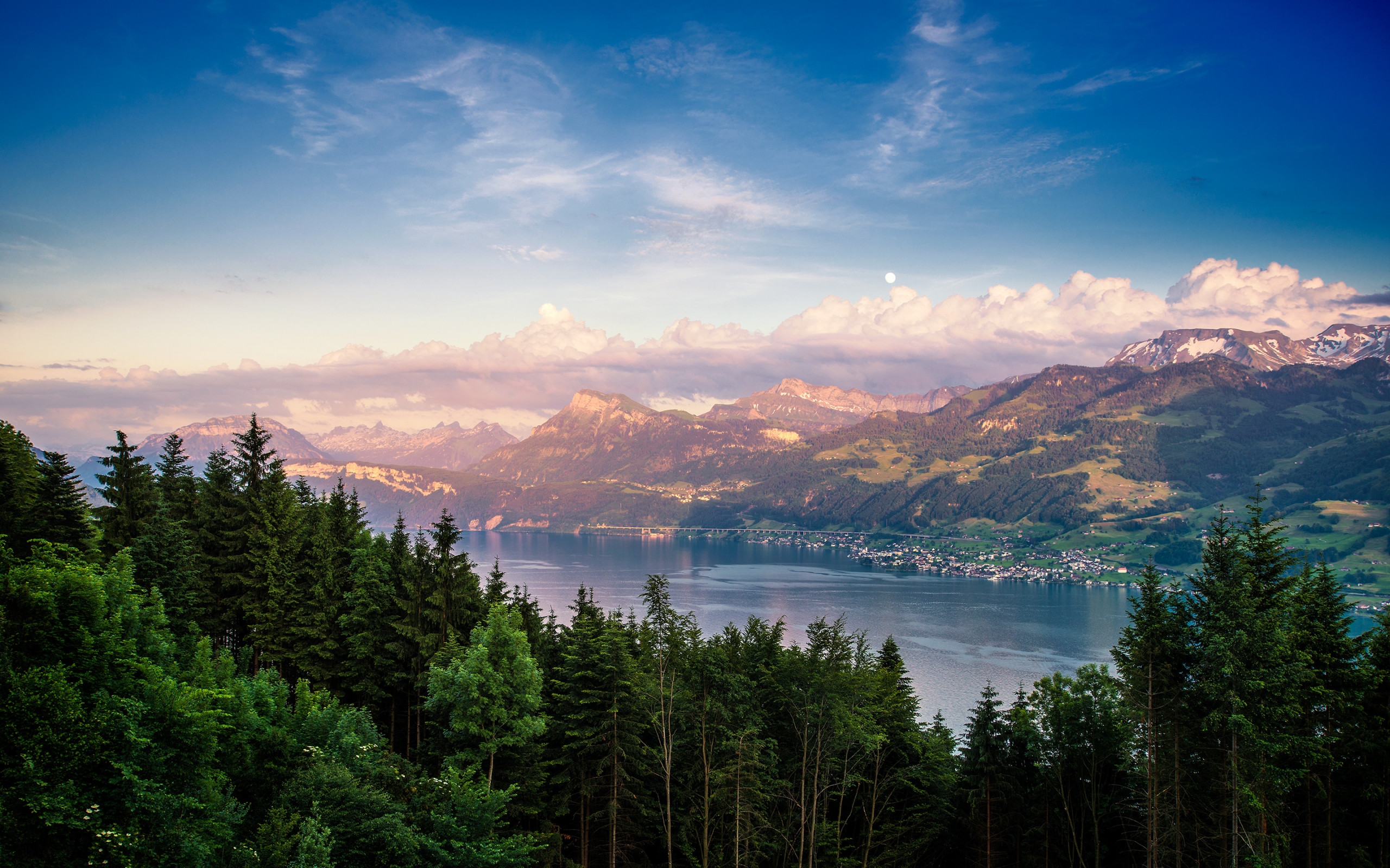 Lake Zurich Landscape for 2560 x 1600 widescreen resolution