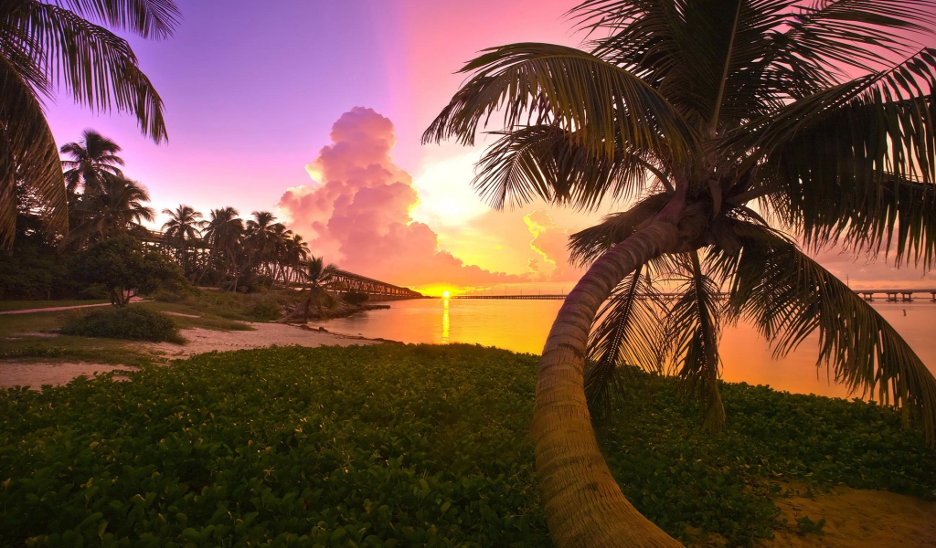Late Beach Sunset for 1024 x 600 widescreen resolution