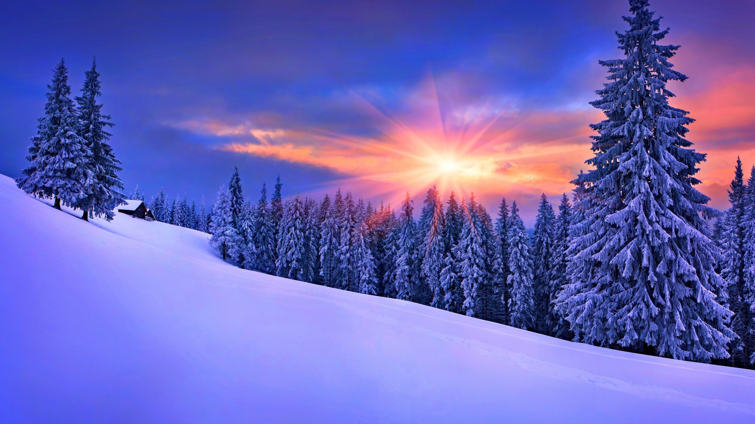 Late Winter Sunset for 2560x1440 HDTV resolution