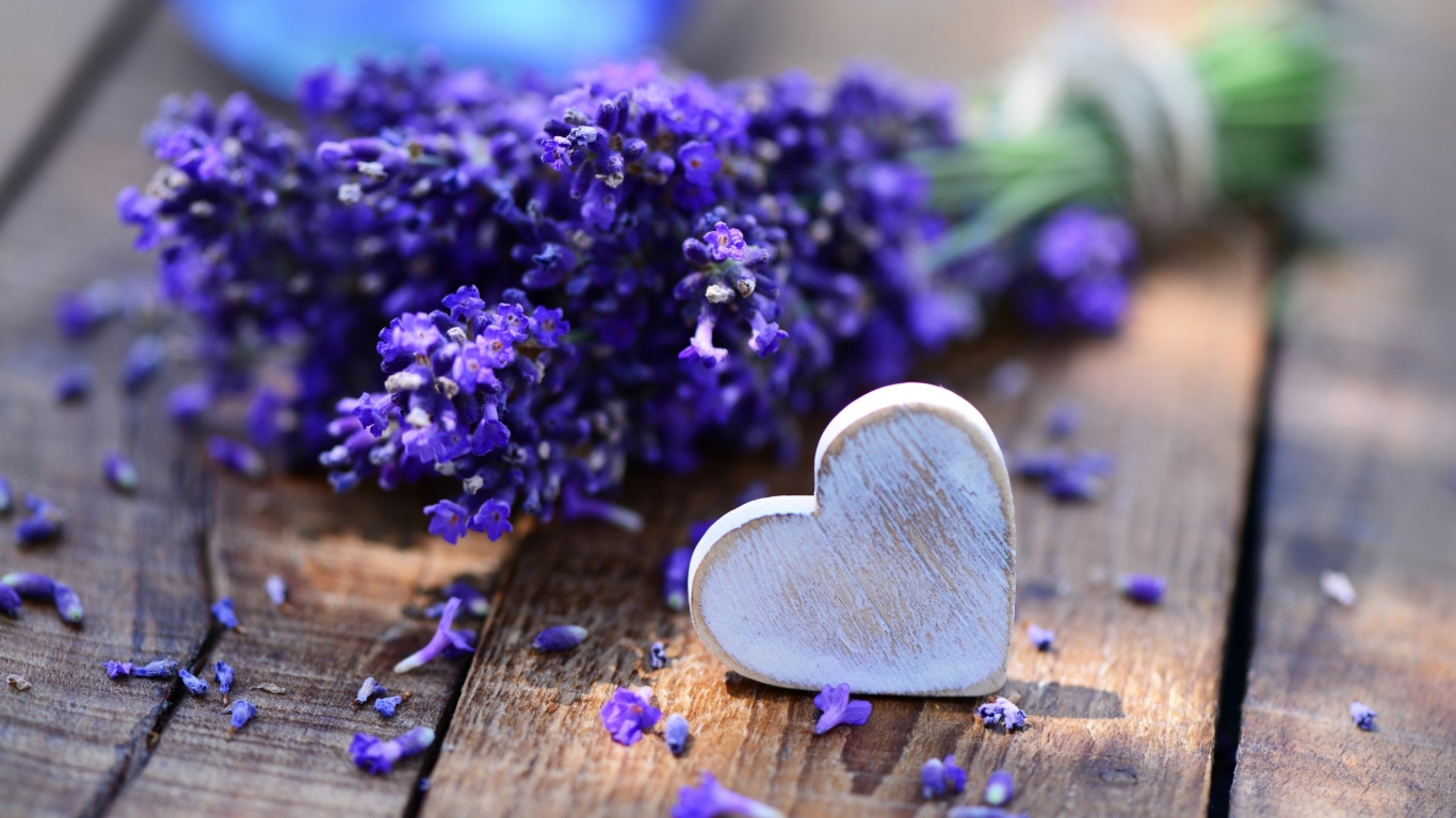 Lavender and Heart for 1366 x 768 HDTV resolution