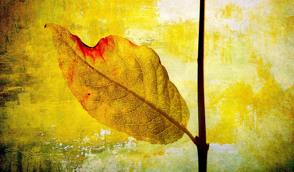 Leaf Painting for 1024 x 600 widescreen resolution
