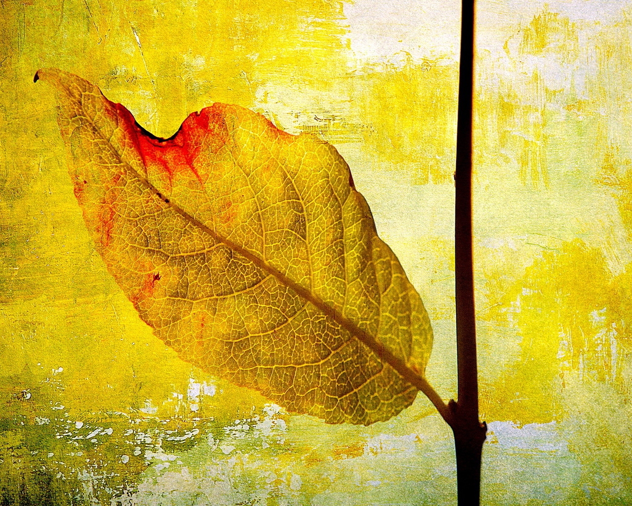 Leaf Painting for 1280 x 1024 resolution