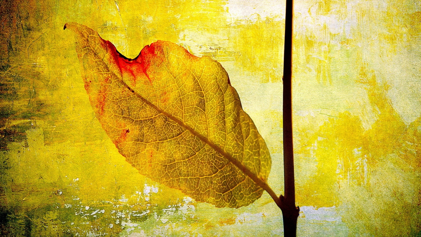 Leaf Painting for 1366 x 768 HDTV resolution