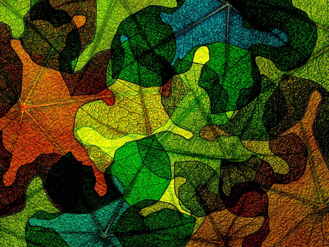 Leaves on Glass for 1152 x 864 resolution