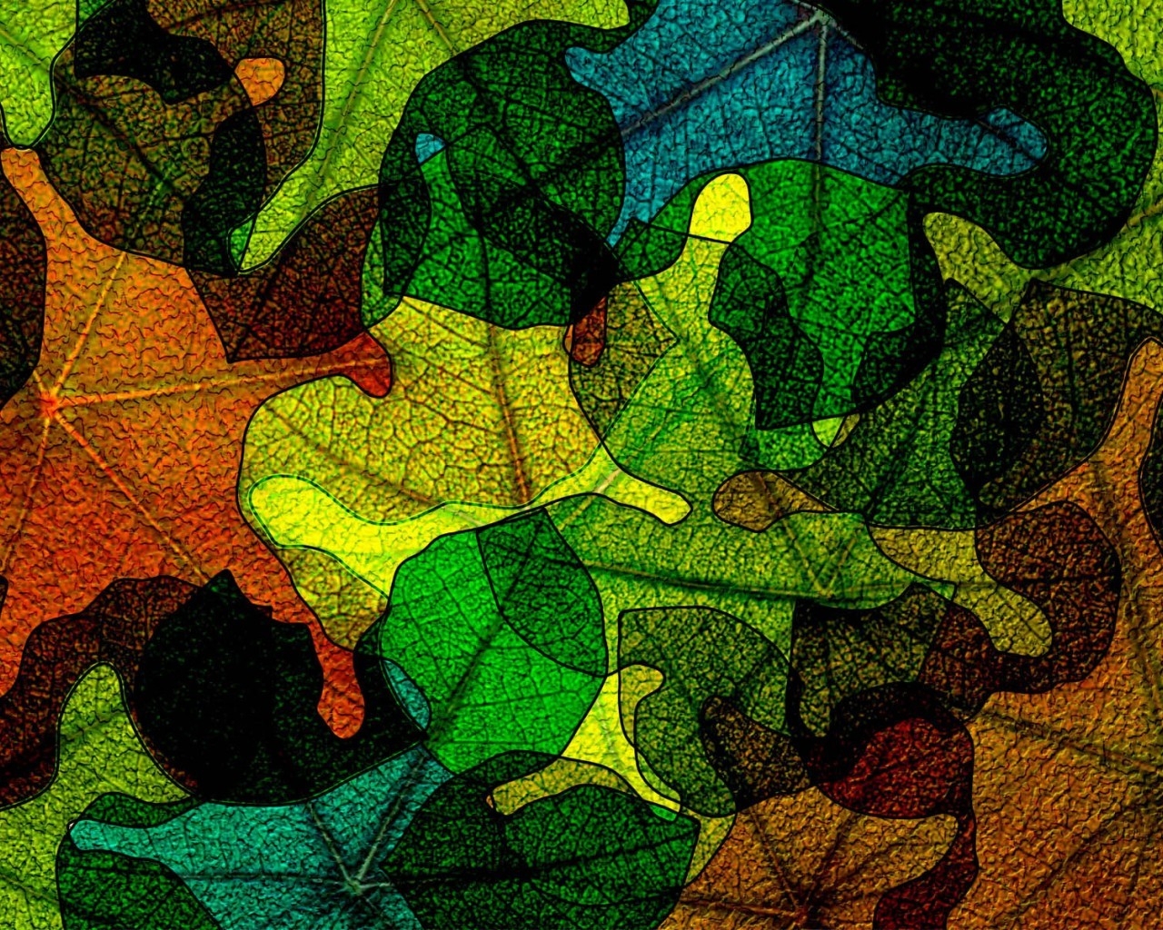 Leaves on Glass for 1280 x 1024 resolution
