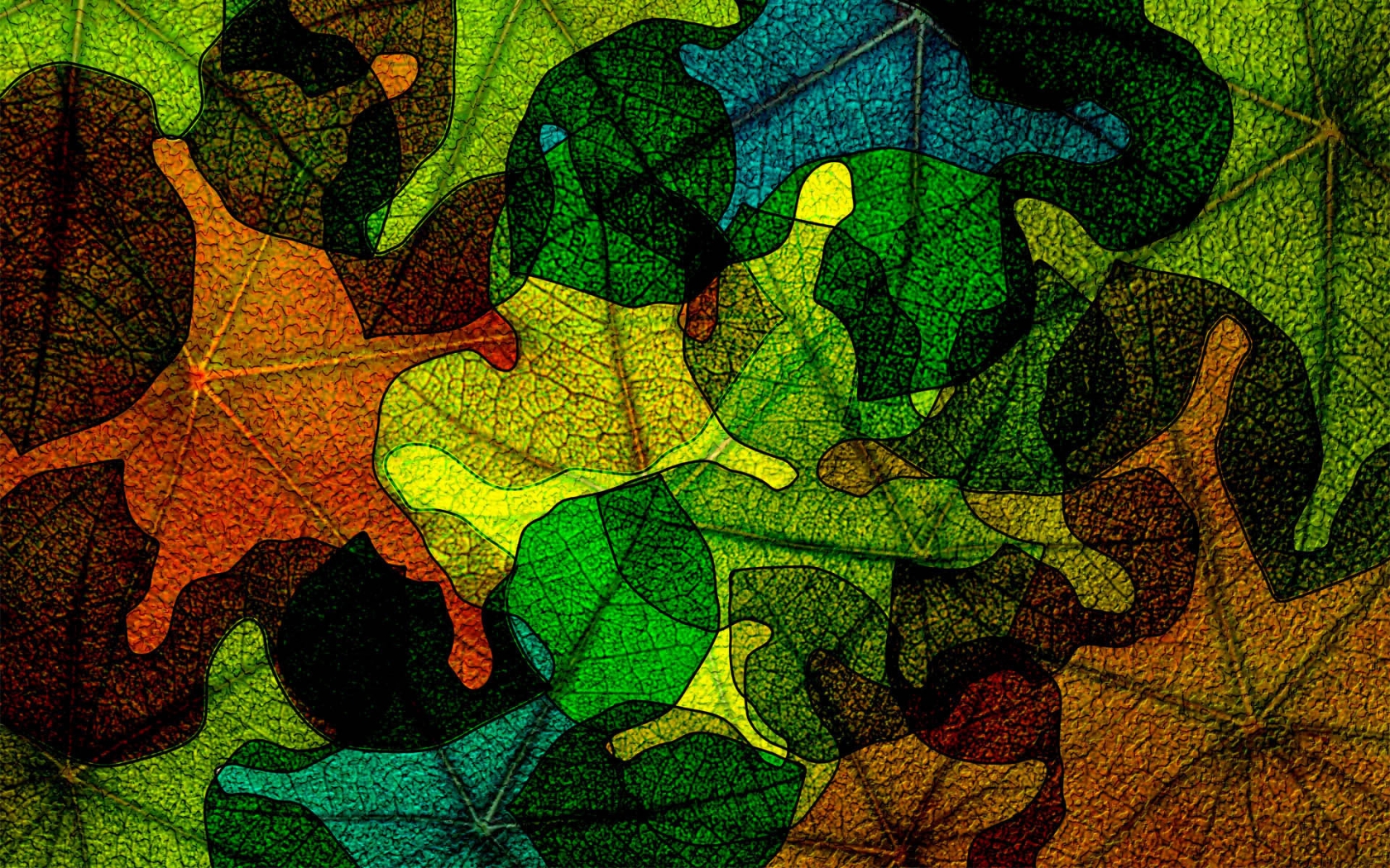 Leaves on Glass for 1680 x 1050 widescreen resolution