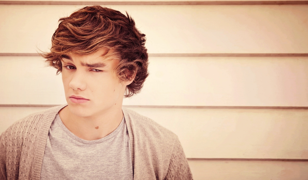 Liam Payne Look for 1024 x 600 widescreen resolution
