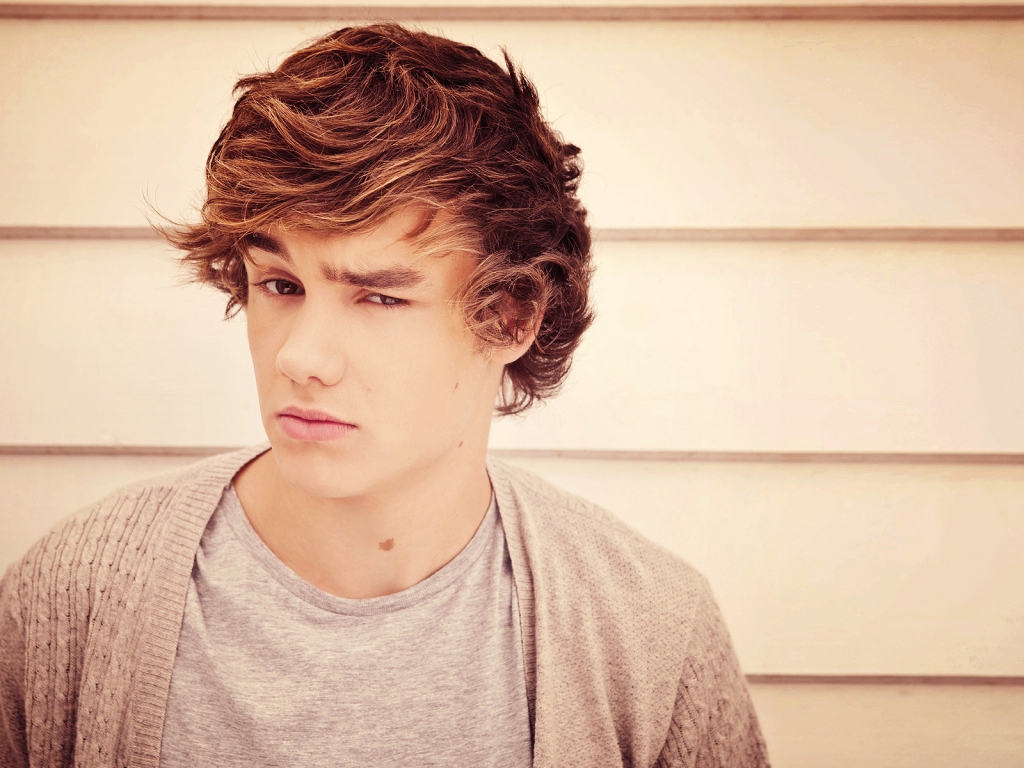Liam Payne Look for 1024 x 768 resolution