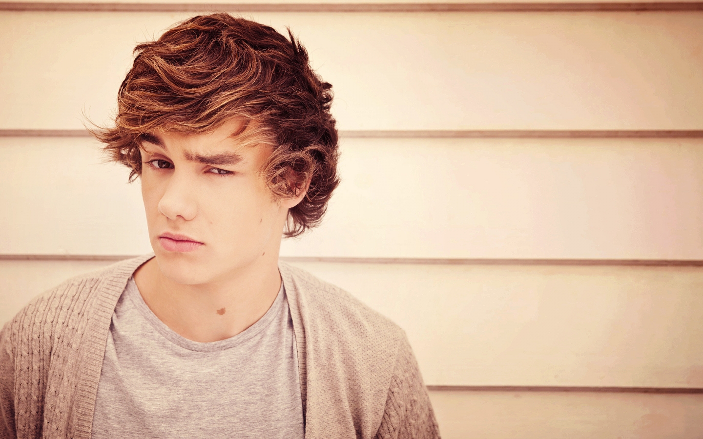 Liam Payne Look for 1440 x 900 widescreen resolution