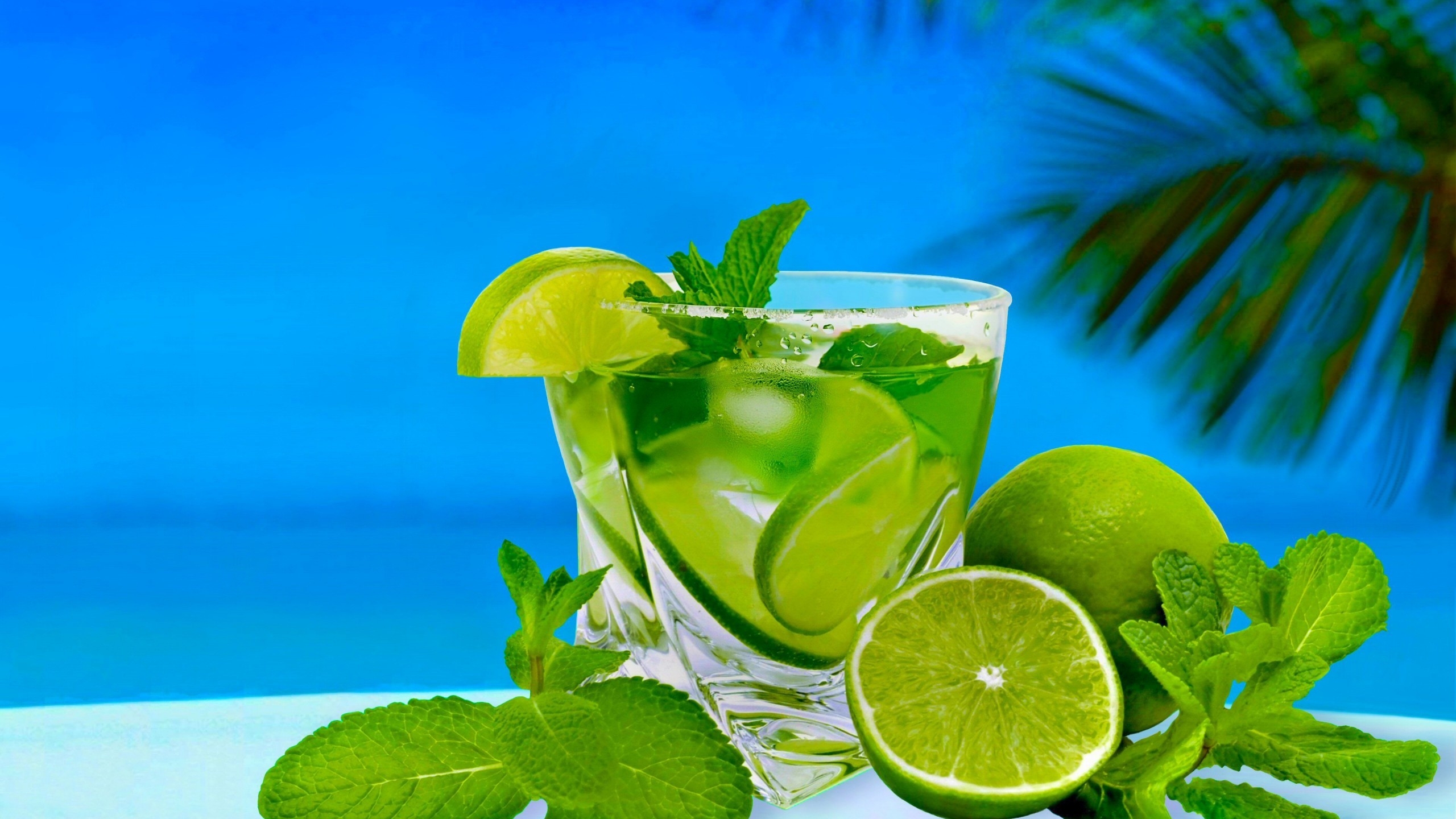 Lime Summer Cocktail for 2560x1440 HDTV resolution