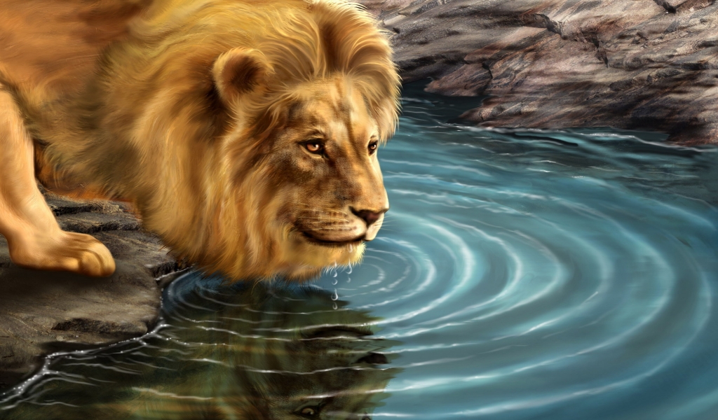 Lion Drinking Water for 1024 x 600 widescreen resolution