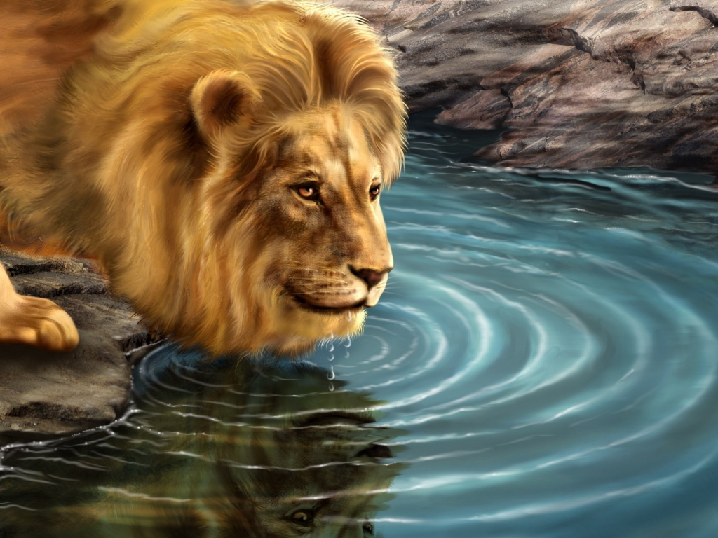 Lion Drinking Water for 1024 x 768 resolution