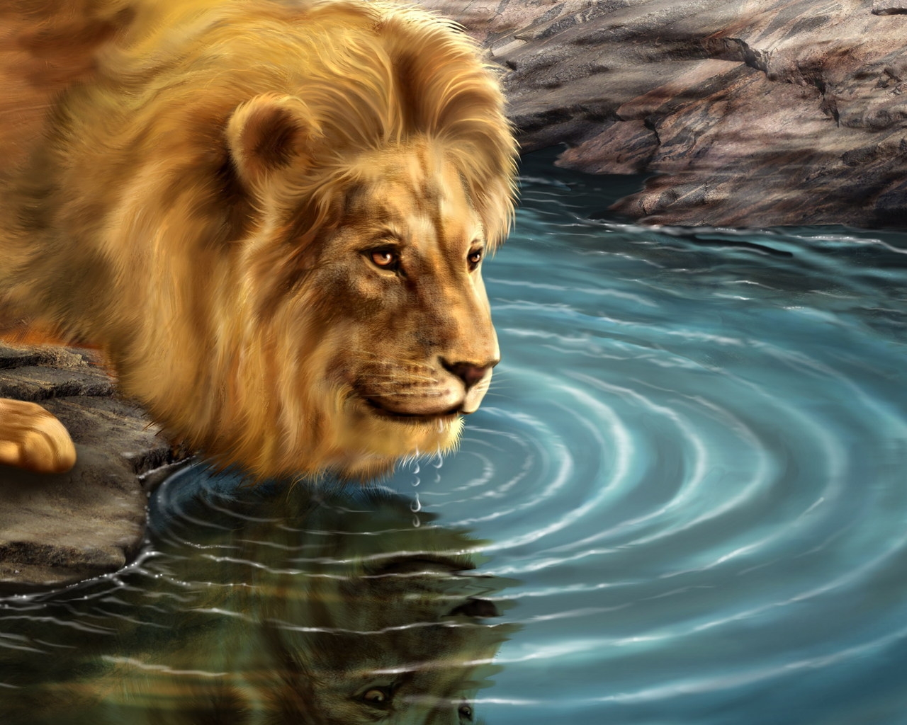 Lion Drinking Water for 1280 x 1024 resolution