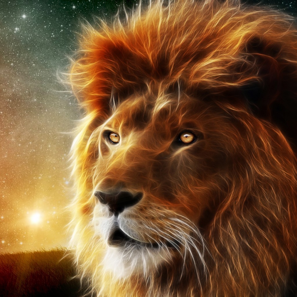 Lion Portrait for 1024 x 1024 iPad resolution