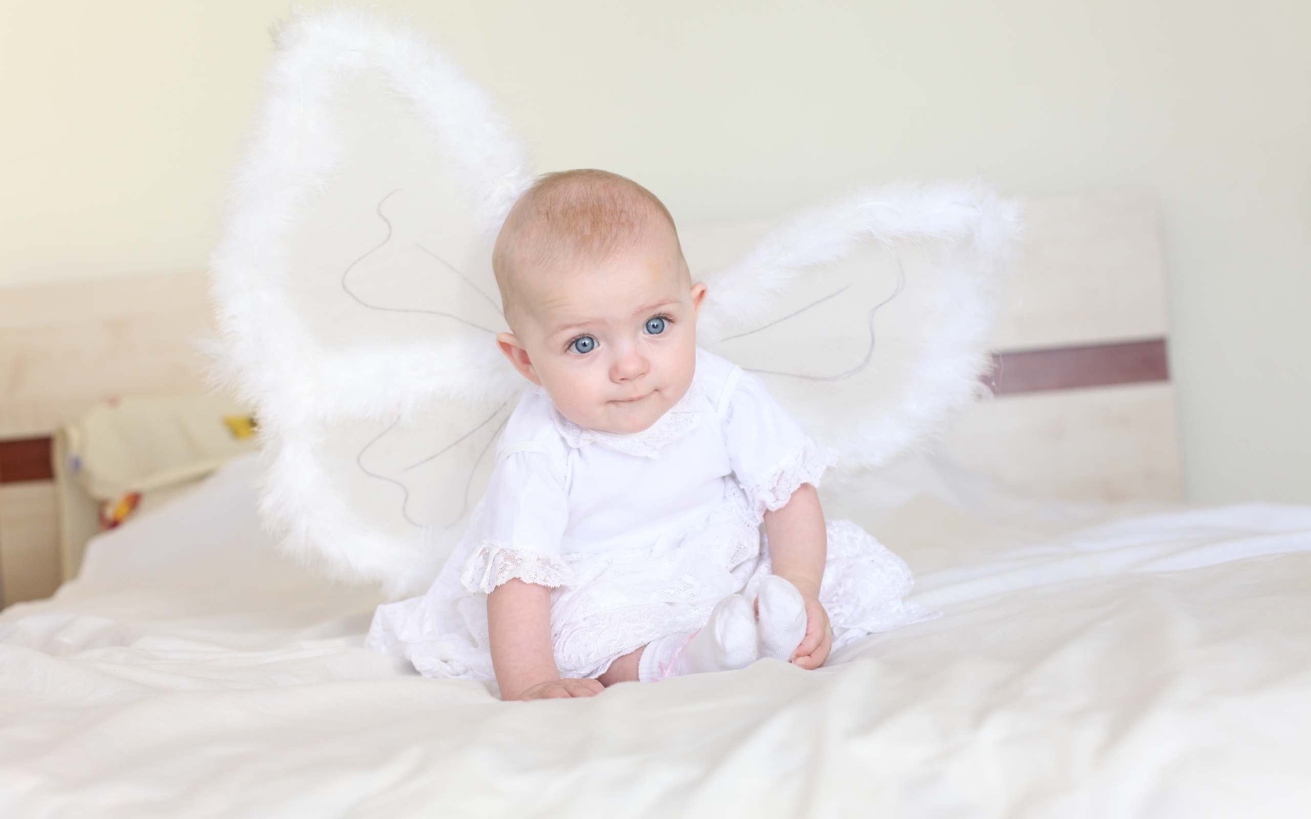Little Angel for 2560 x 1600 widescreen resolution