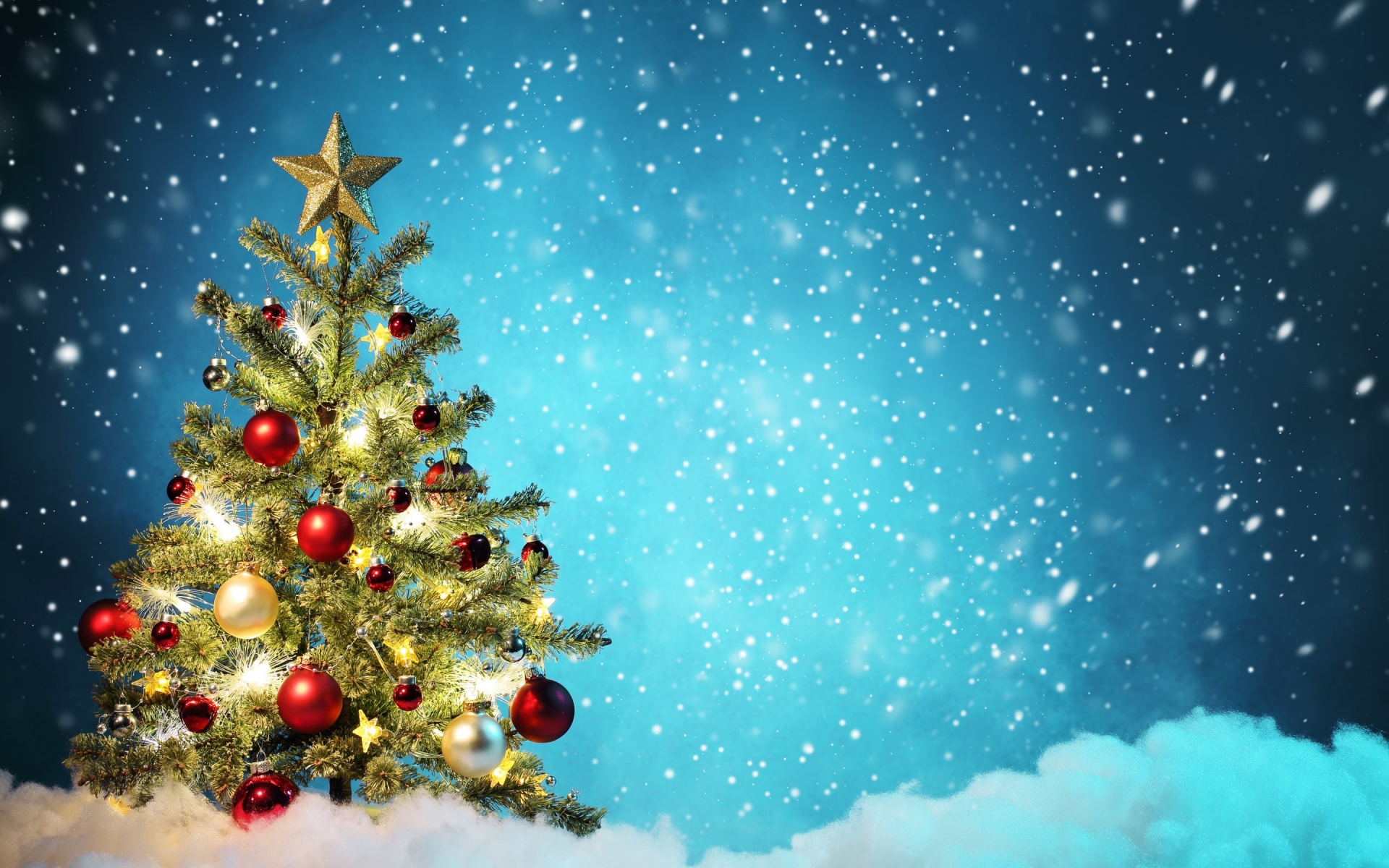 Little Christmas Tree for 1920 x 1200 widescreen resolution