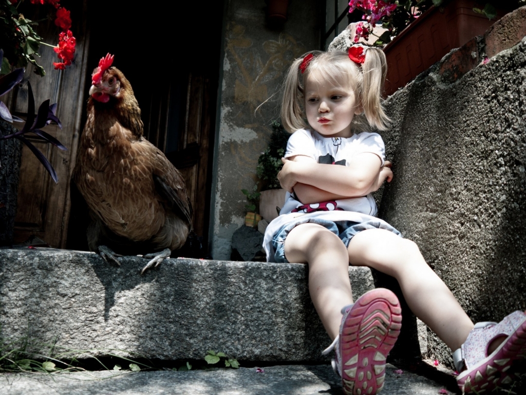 Little Girl and Chicken for 1024 x 768 resolution