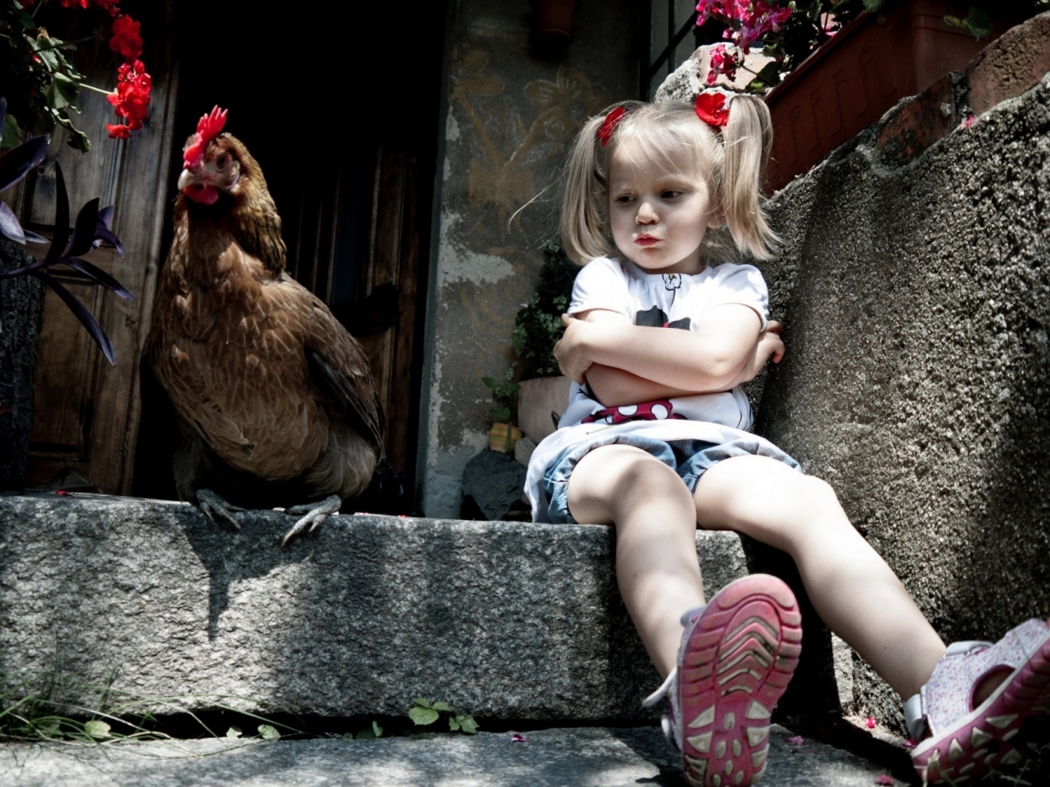 Little Girl and Chicken for 1152 x 864 resolution