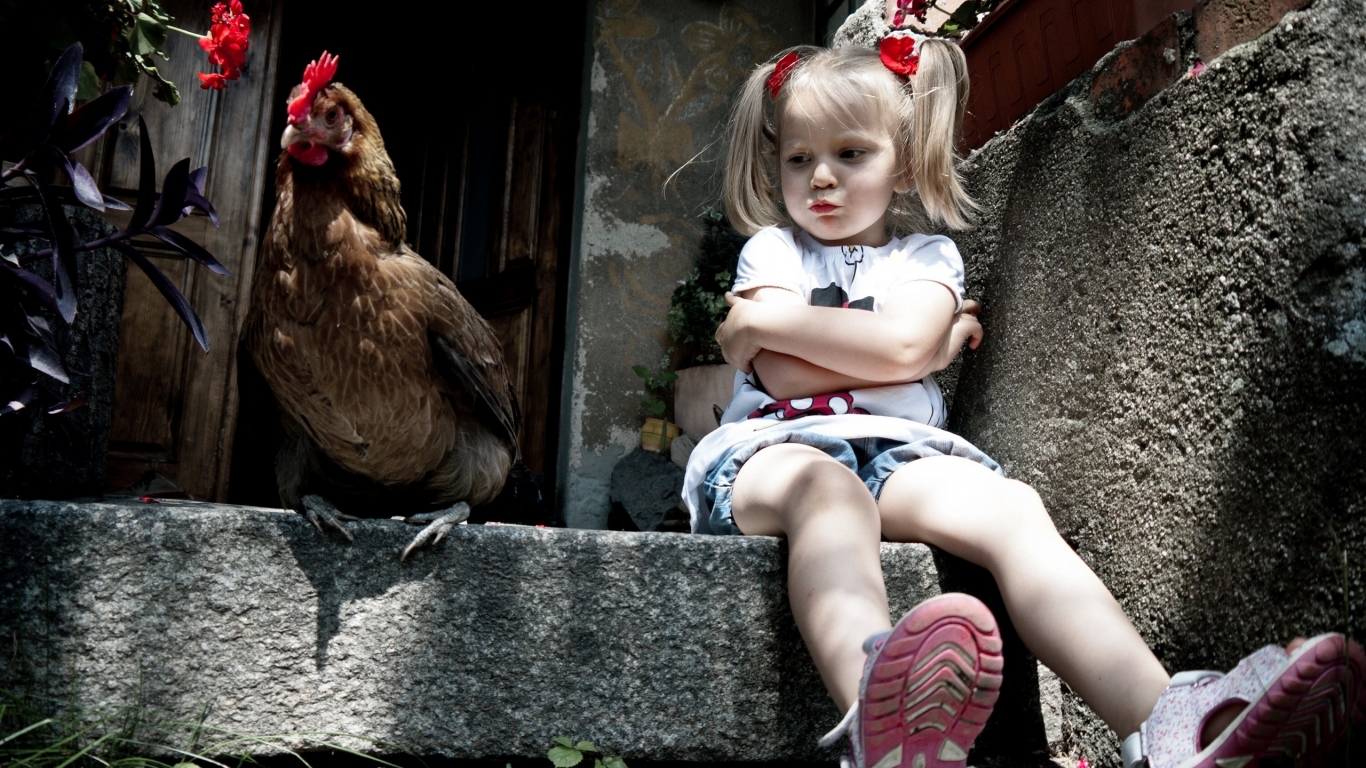 Little Girl and Chicken for 1366 x 768 HDTV resolution