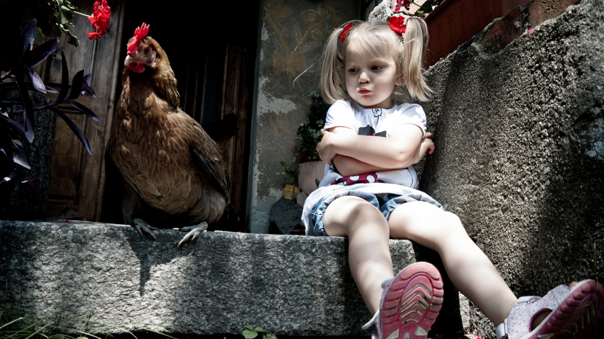 Little Girl and Chicken for 1920 x 1080 HDTV 1080p resolution