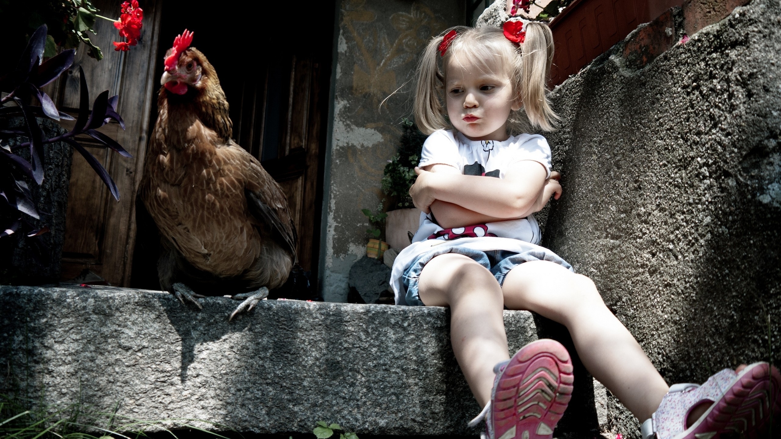 Little Girl and Chicken for 2560x1440 HDTV resolution